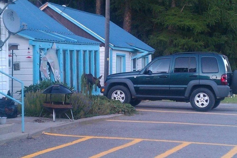 Little River Motel Saint Regis St. Regis Exterior photo